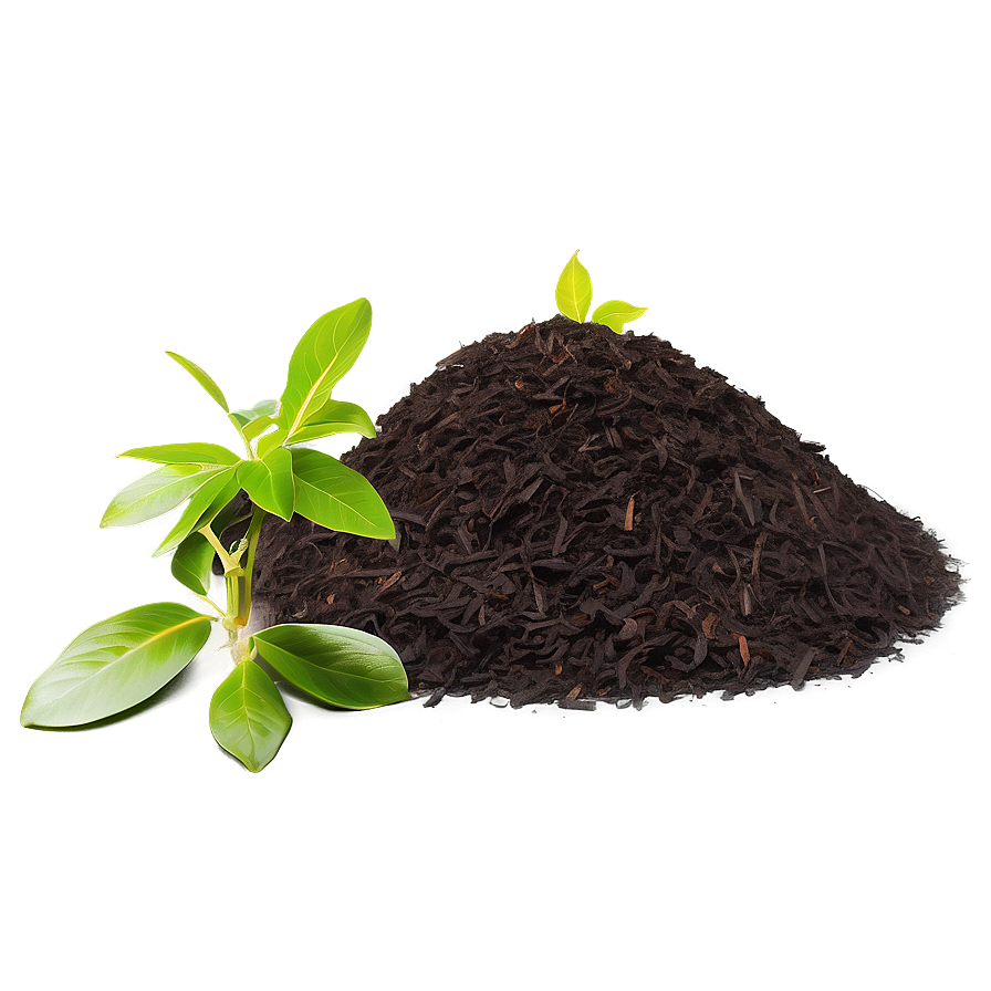 Organic Compost Heap Png Dnf81 PNG Image