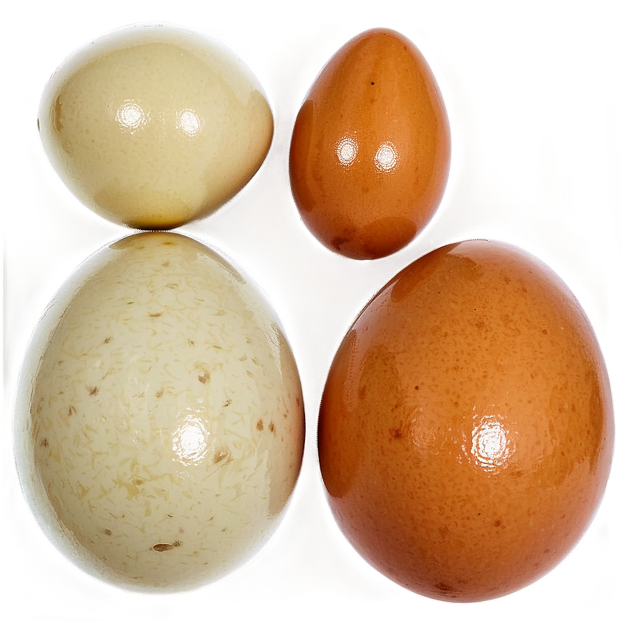 Organic Eggs Png 31 PNG Image