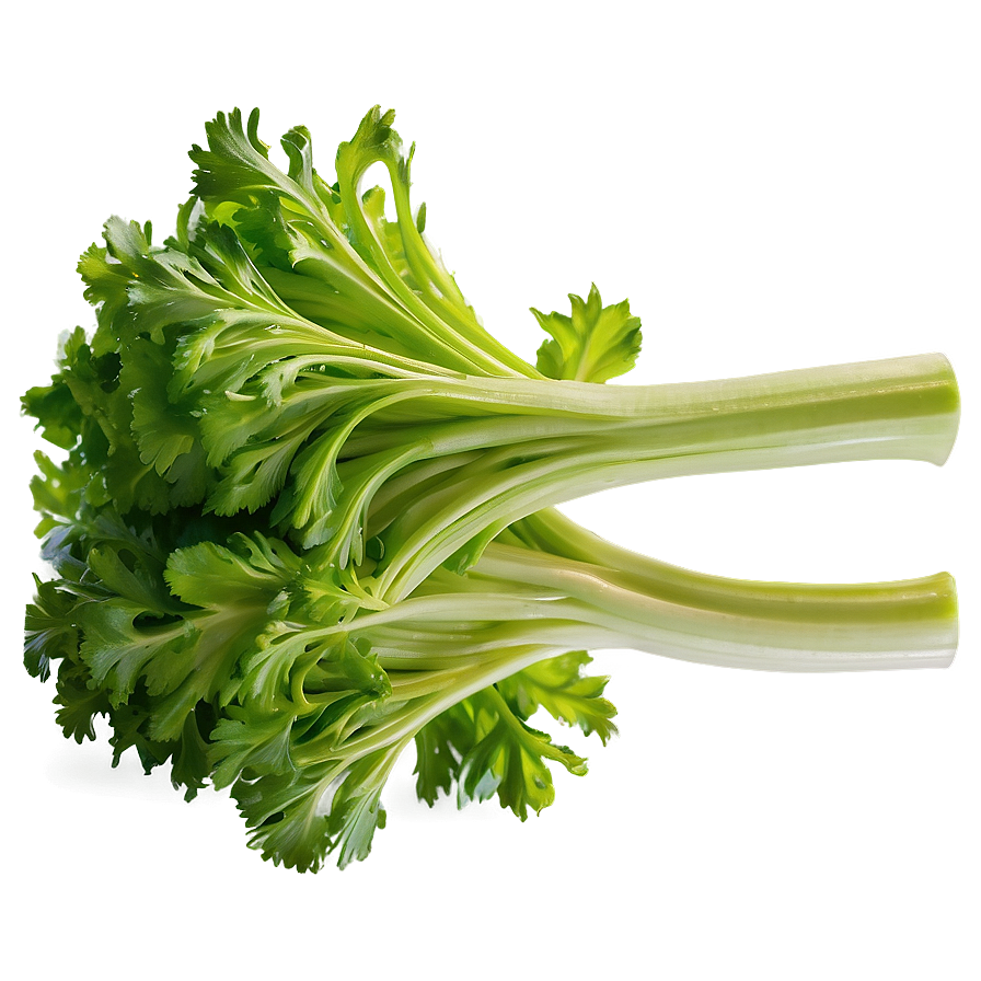 Organic Farm Celery Png Brg34 PNG Image