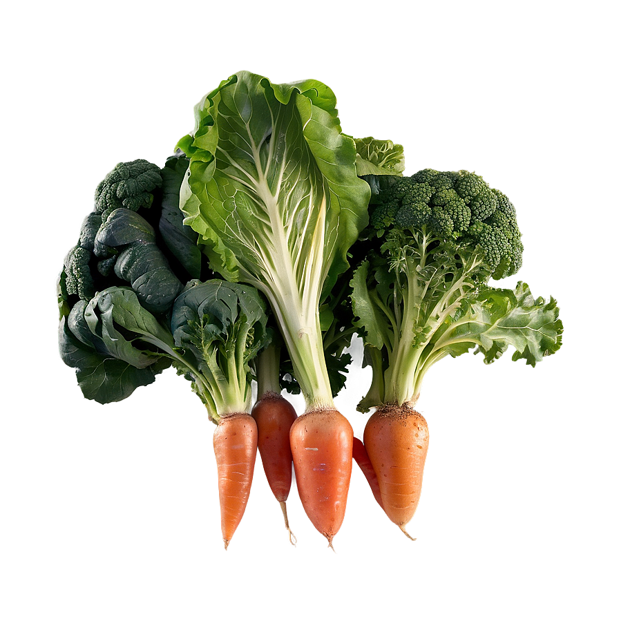 Organic Farm Vegetables Png Oko58 PNG Image