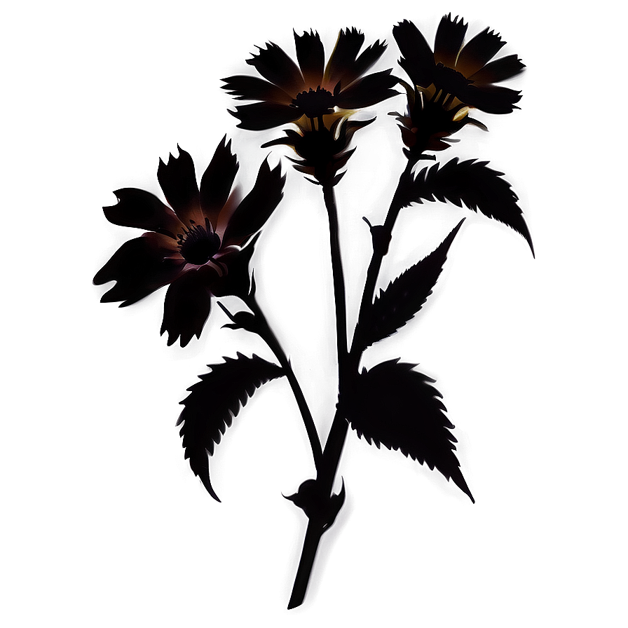 Organic Flower Silhouette Png 06262024 PNG Image