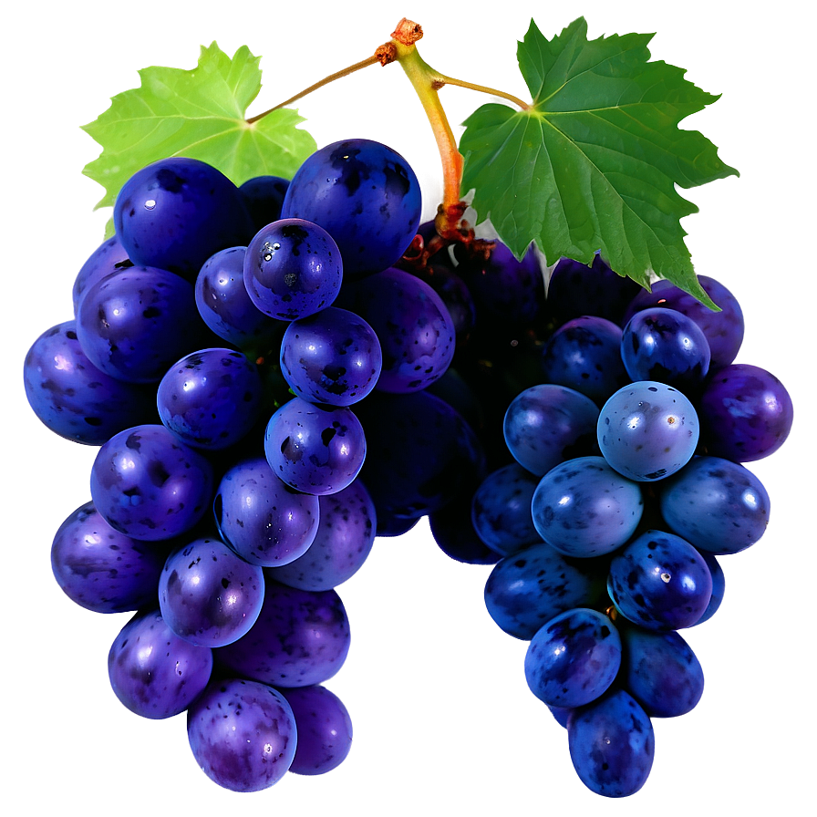 Organic Grape Png Elp PNG Image