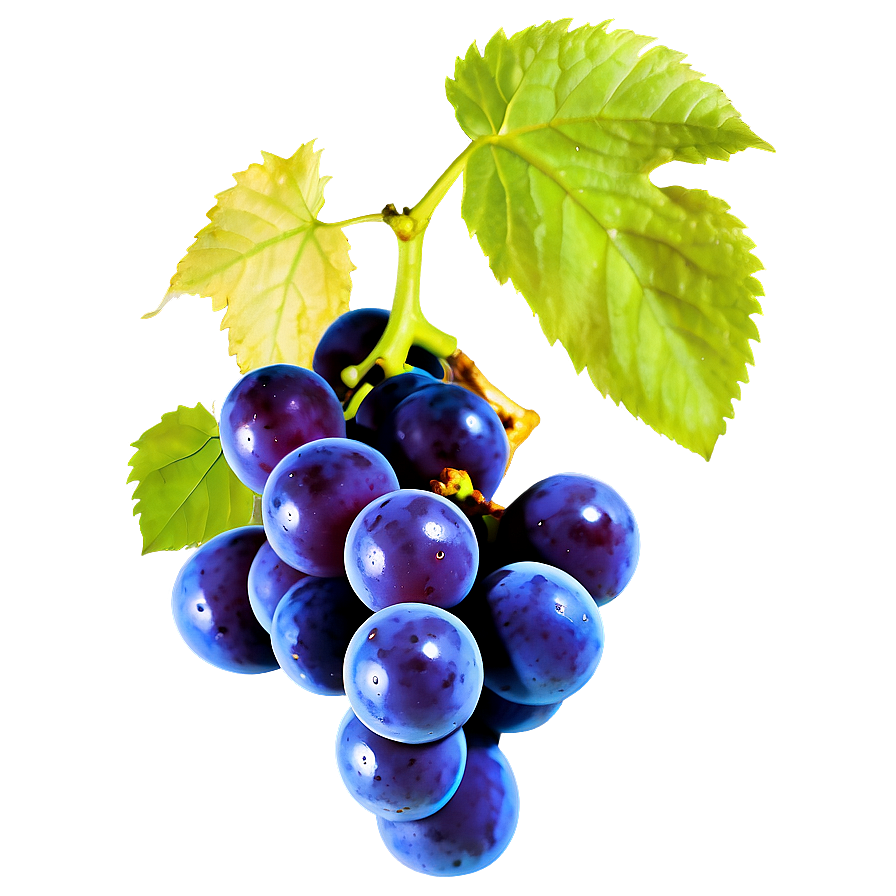 Organic Grape Png Vhn1 PNG Image