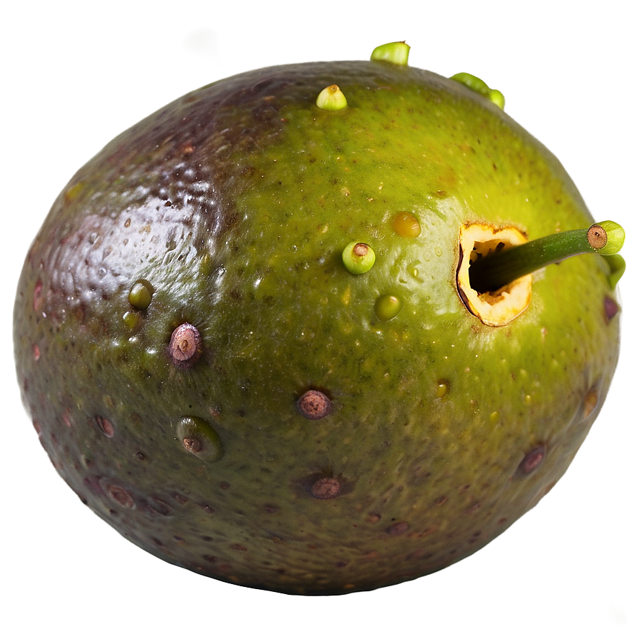 Organic Passion Fruit Harvest Png 61 PNG Image