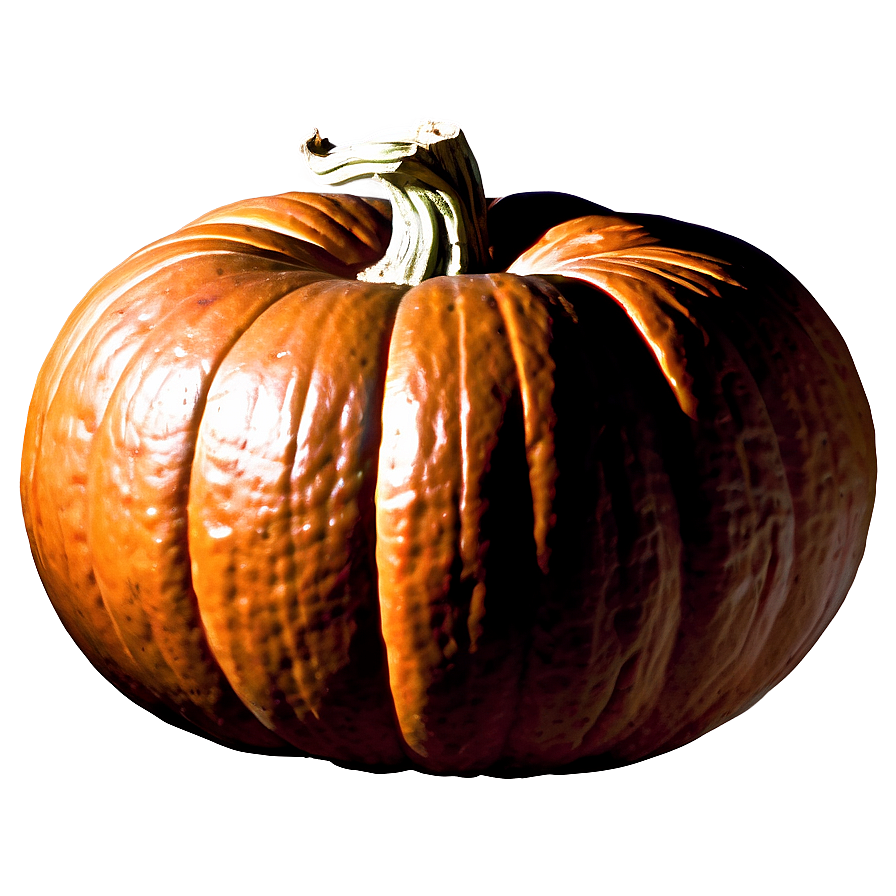 Organic Pumpkin Outline Shape Png 21 PNG Image