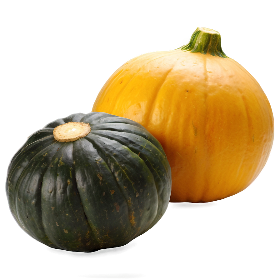 Organic Squash Png 7 PNG Image