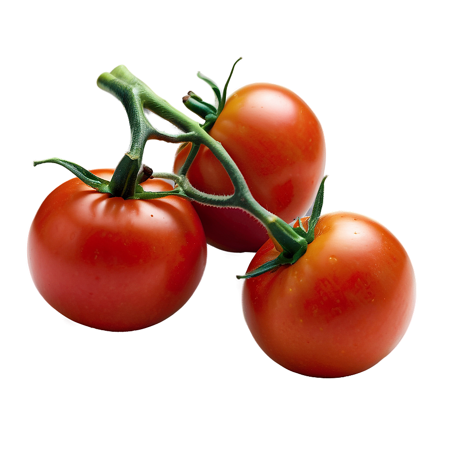 Organic Tomato Png 91 PNG Image