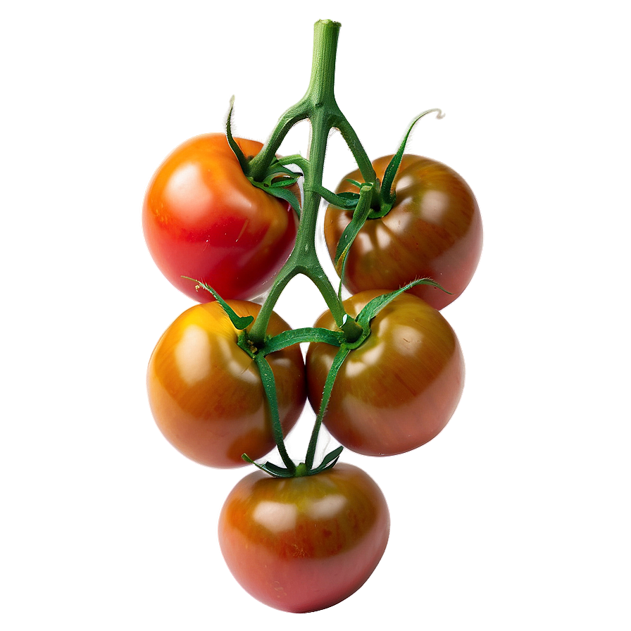 Organic Tomatoes Cluster Png 06212024 PNG Image