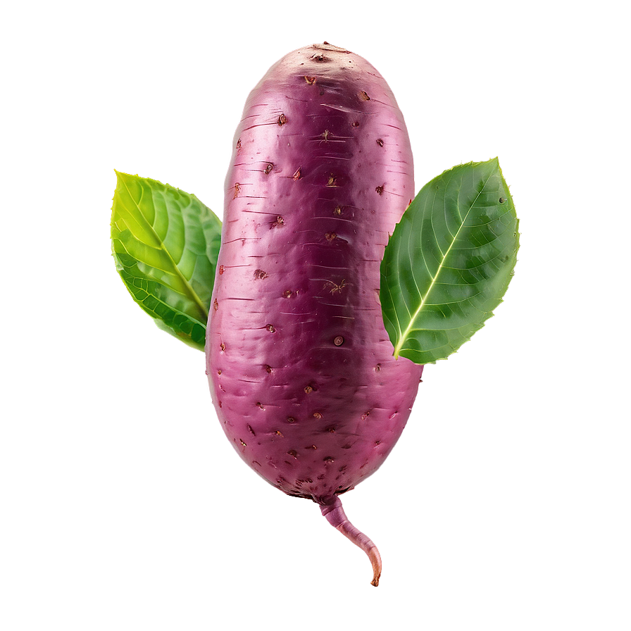 Organic Tuber Png Msi PNG Image