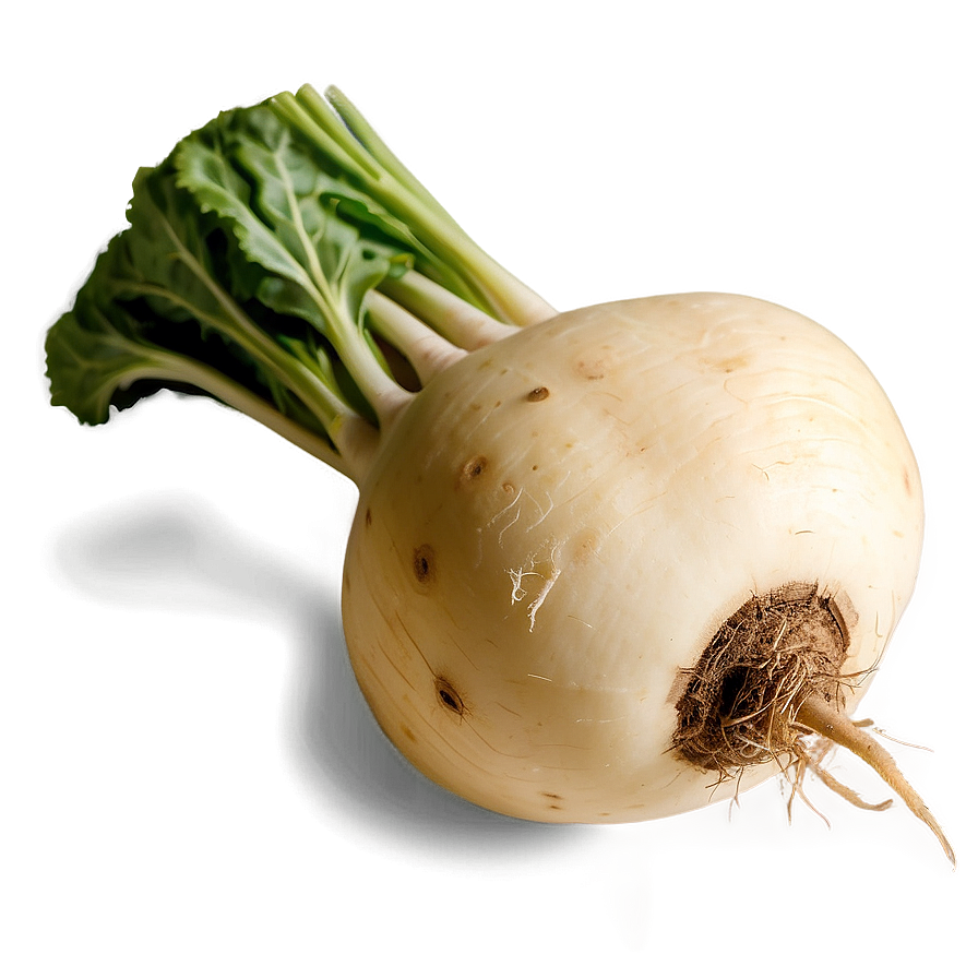 Organic Turnip Png 4 PNG Image