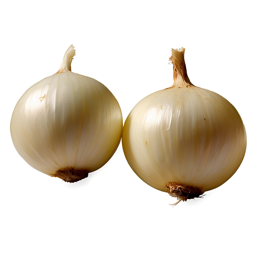 Organic White Onion Png 90 PNG Image