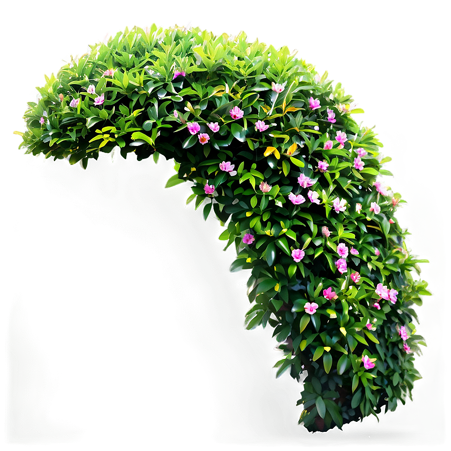 Ornamental Bush Png Mje PNG Image