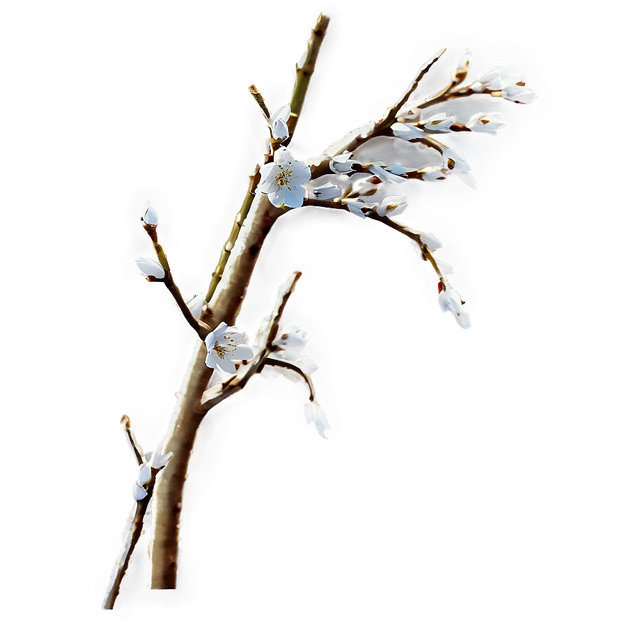 Ornamental Twig Png 06132024 PNG Image