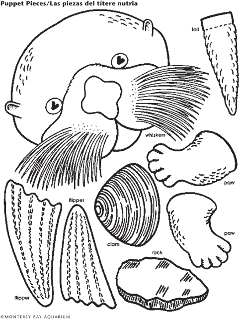 Otter Puppet Pieces Diagram PNG Image