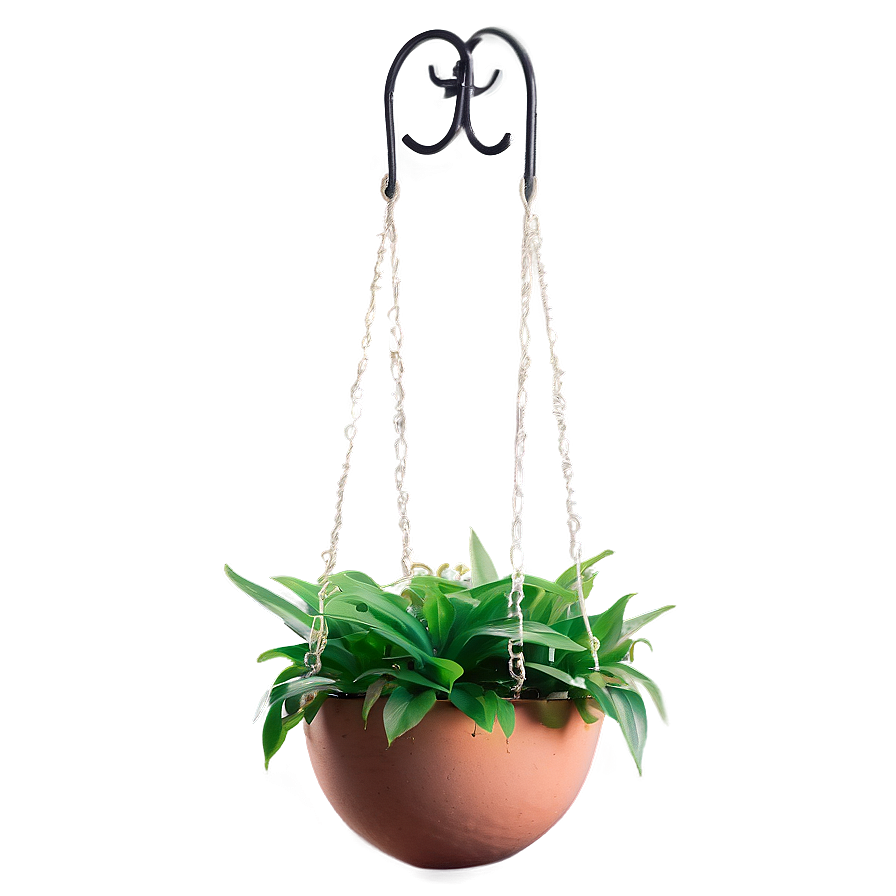 Outdoor Hanging Plant Png 05252024 PNG Image