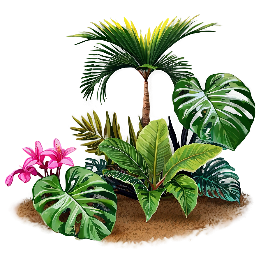 Outdoor Tropical Plants Png Jsk PNG Image