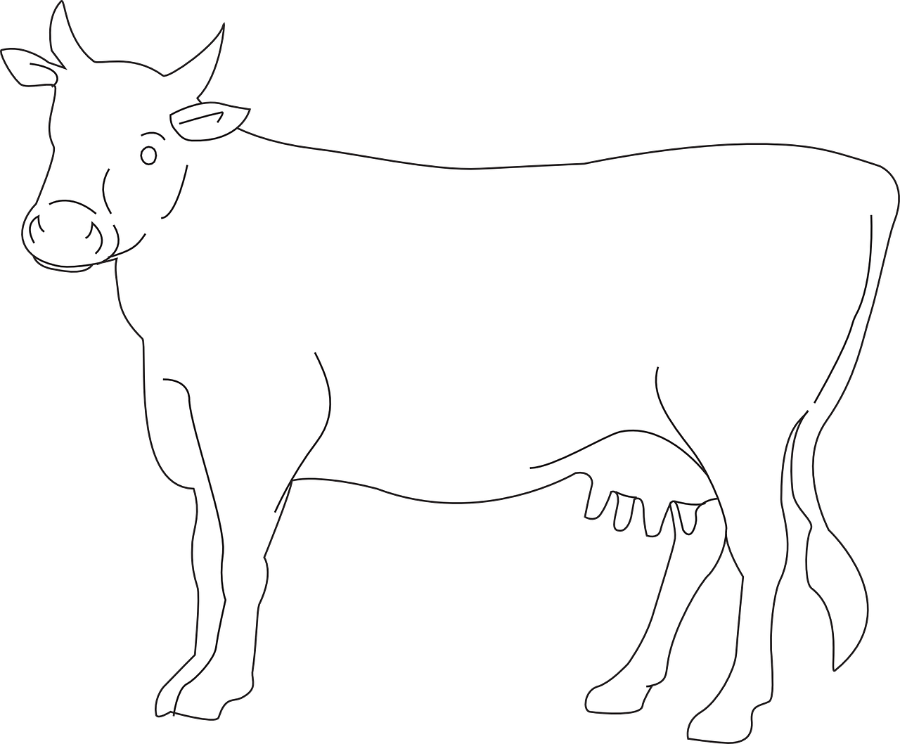 Outlined Dairy Cow Illustration PNG Image