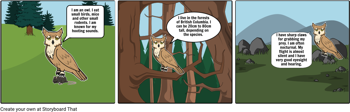 Owl Educational Comic Strip PNG Image