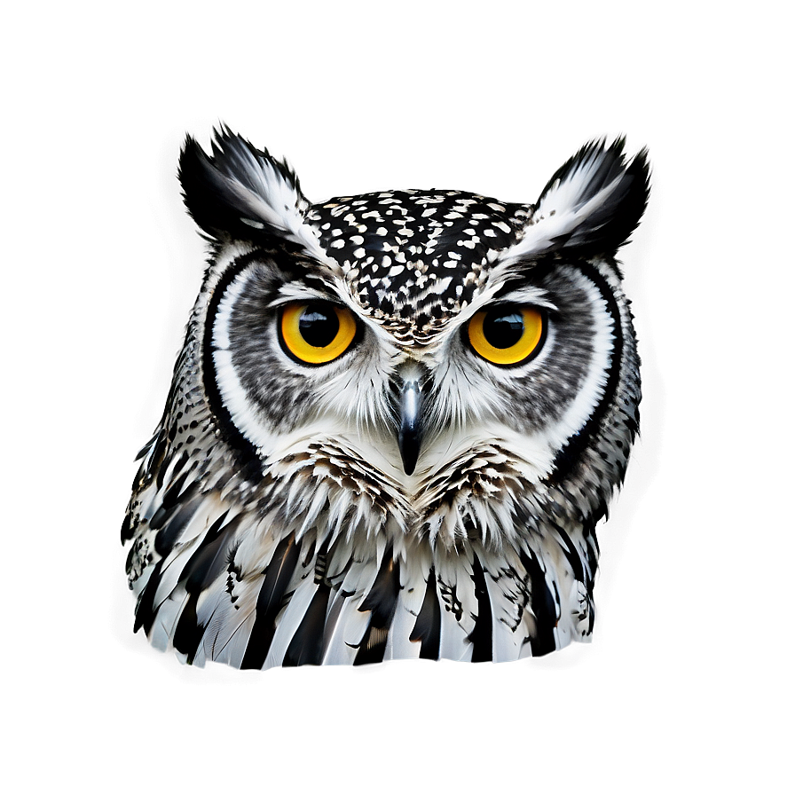 Owl Profile Png 61 PNG Image