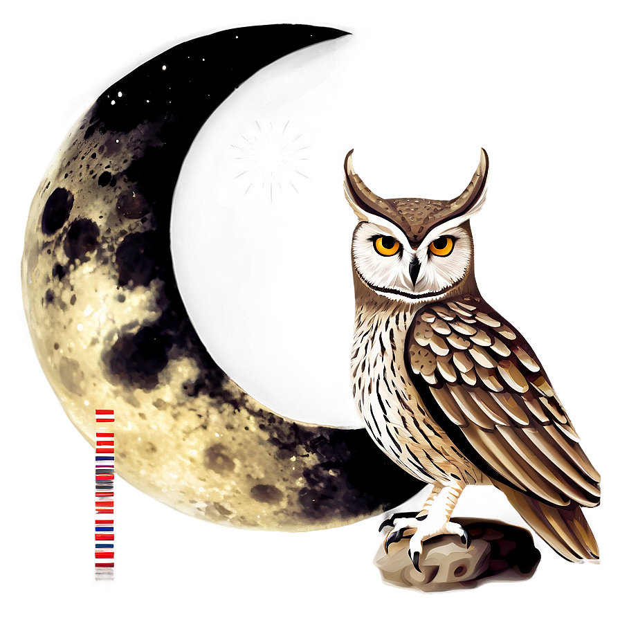 Owl With Moon Png 05062024 PNG Image