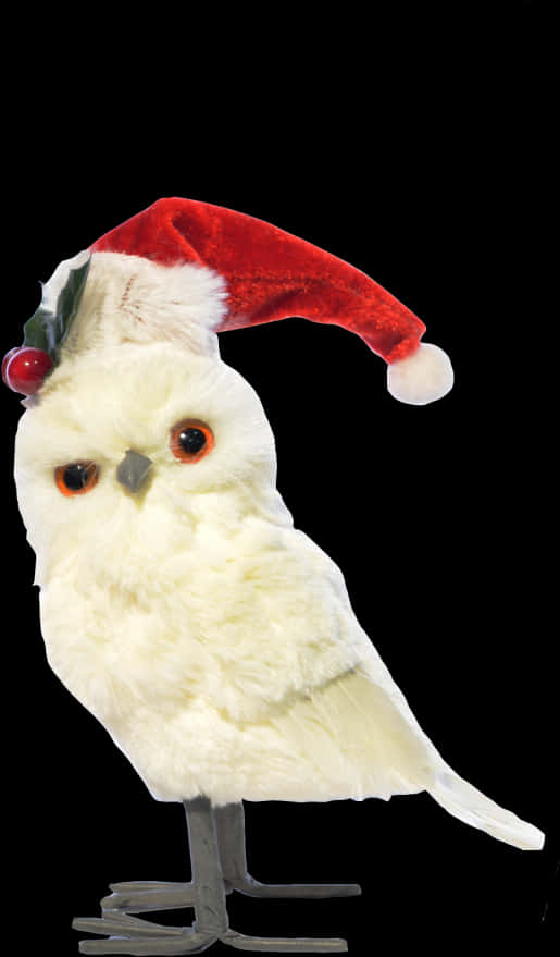 Owlin Santa Hat PNG Image