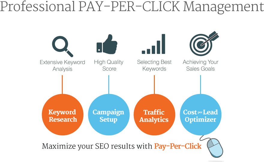 P P C Management Steps Infographic PNG Image