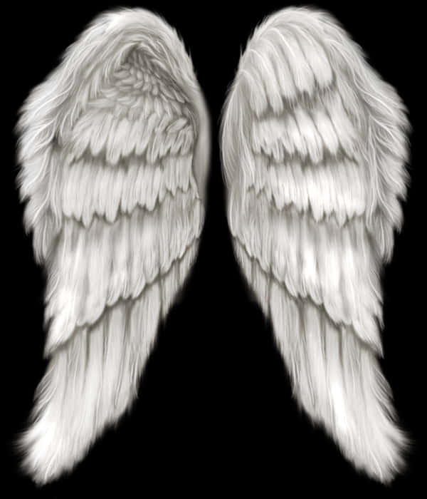 Pairof White Angel Wings PNG Image