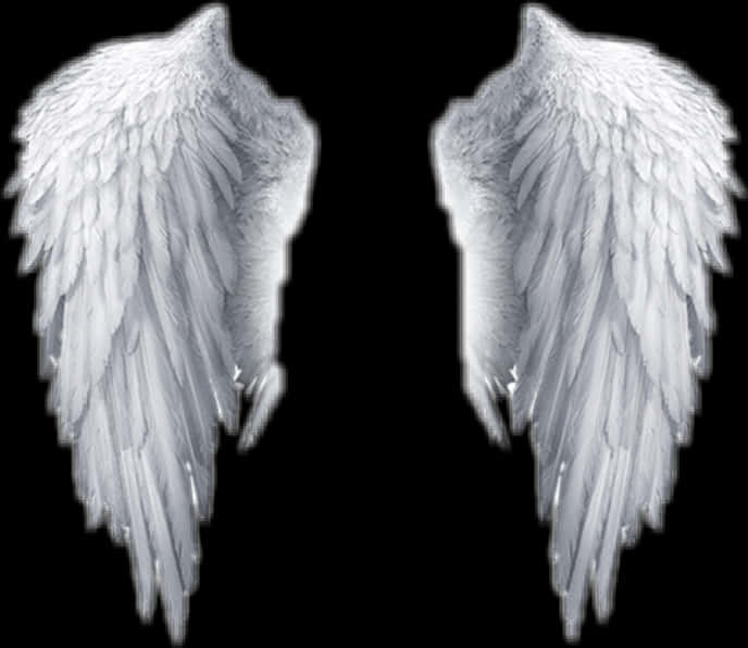 Pairof White Angel Wings PNG Image