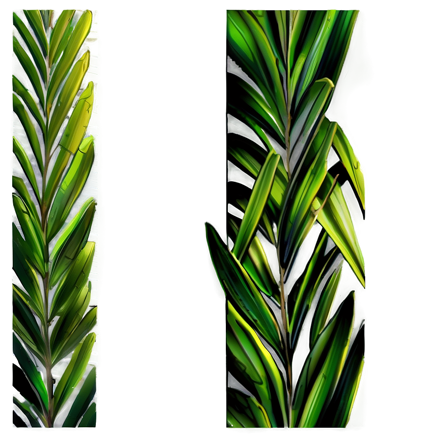 Palm Leaves Border Png Tcv12 PNG Image