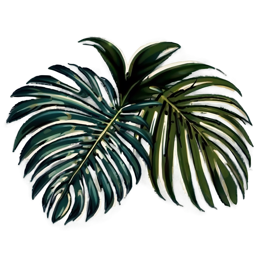 Palm Leaves Composition Png 05252024 PNG Image