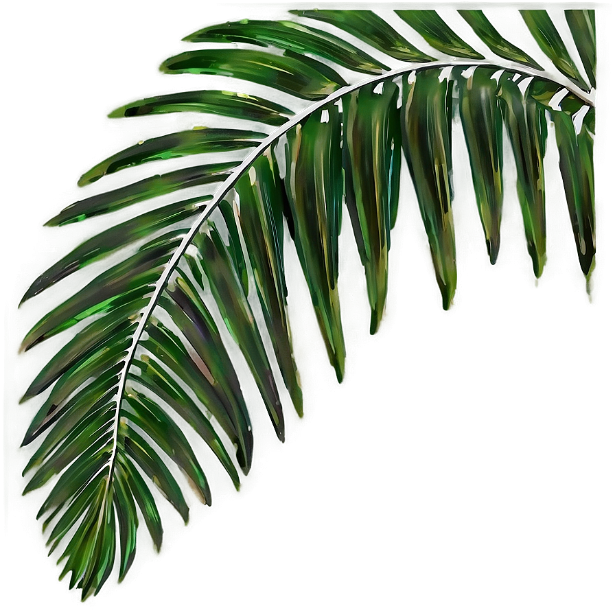 Palm Leaves Composition Png Inh PNG Image