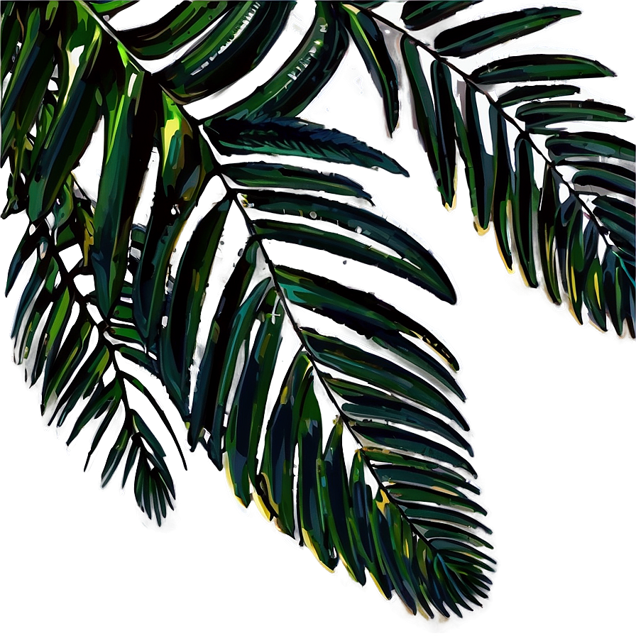 Palm Leaves Composition Png Rhm PNG Image