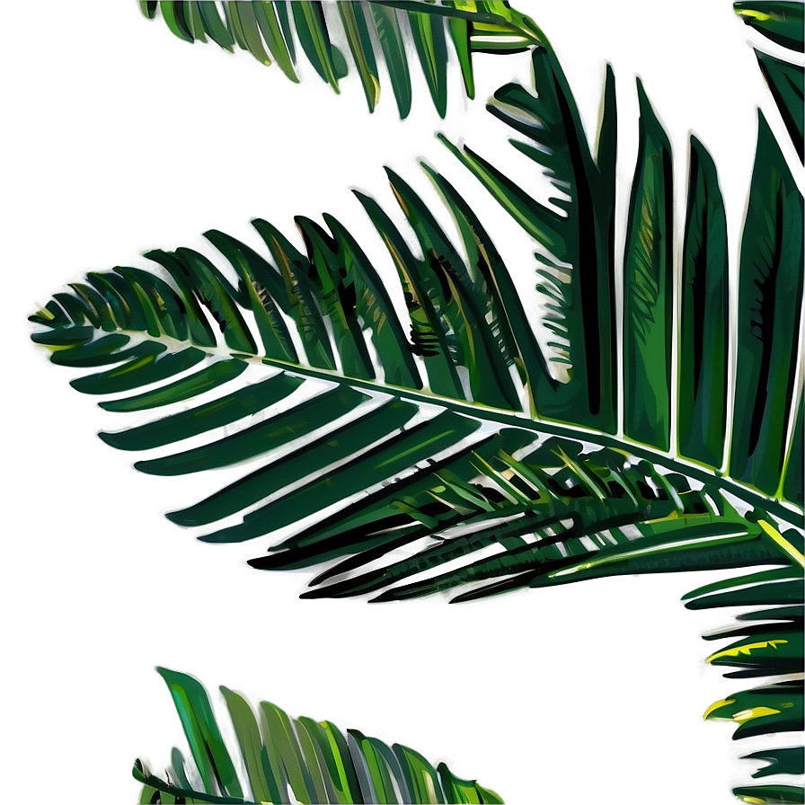 Palm Leaves Outline Png Afo PNG Image