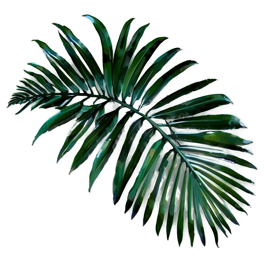 Palm Leaves Png Acm PNG Image