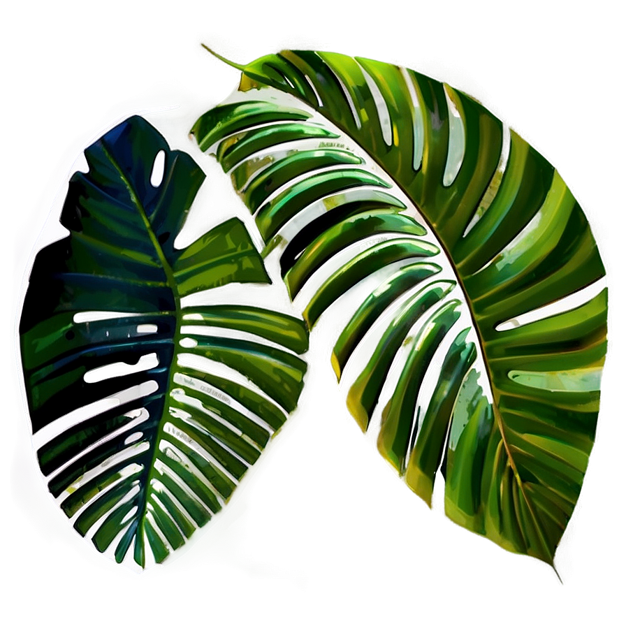 Palm Leaves Png Fwj82 PNG Image