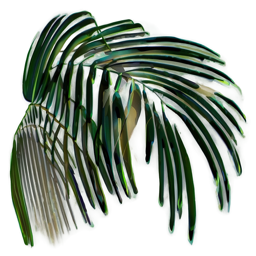 Palm Leaves Shadow Png 97 PNG Image