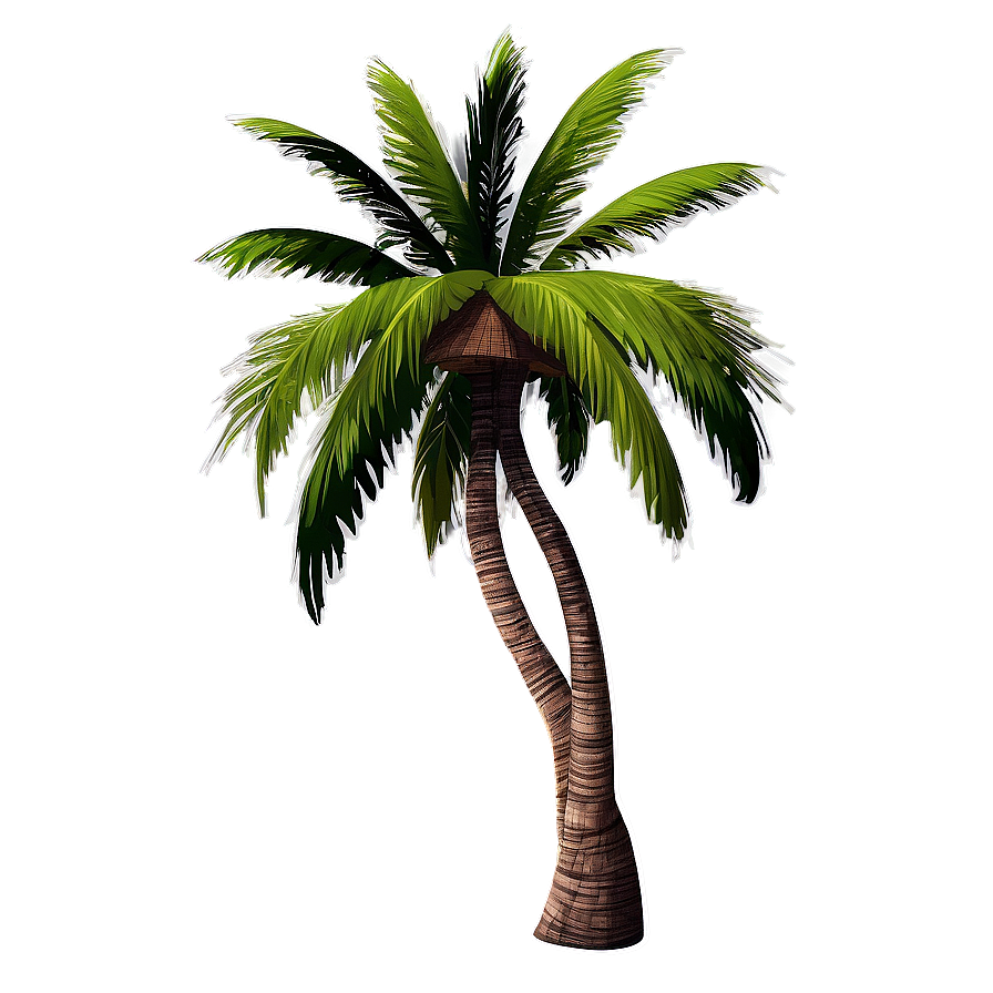 Palm Trees With Coconuts Png Unl8 PNG Image