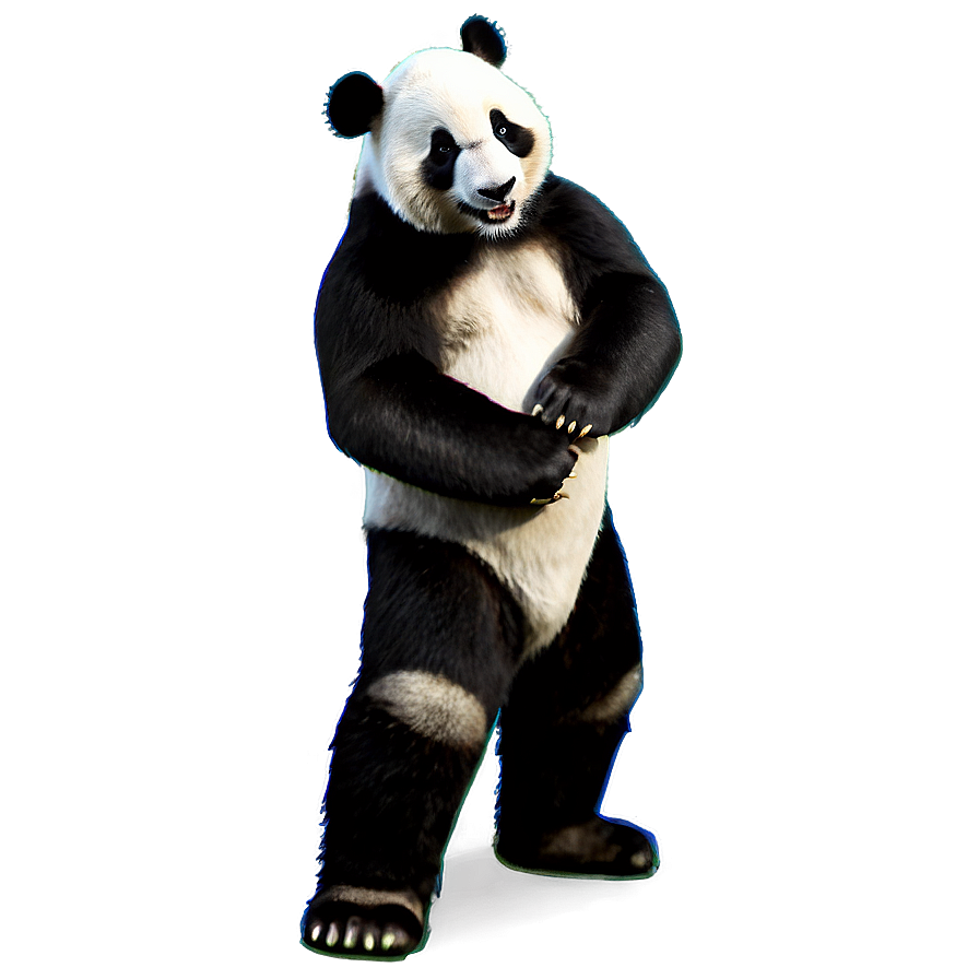 Panda School Mascot Png 21 PNG Image