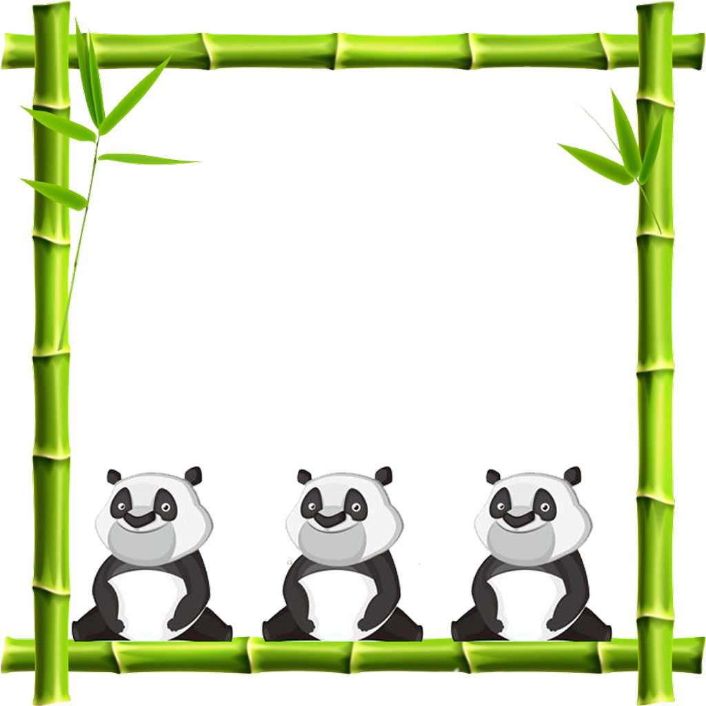 Pandasand Bamboo Frame PNG Image