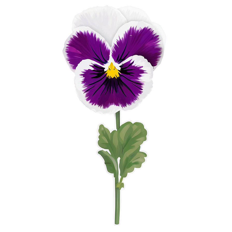 Pansy B PNG Image