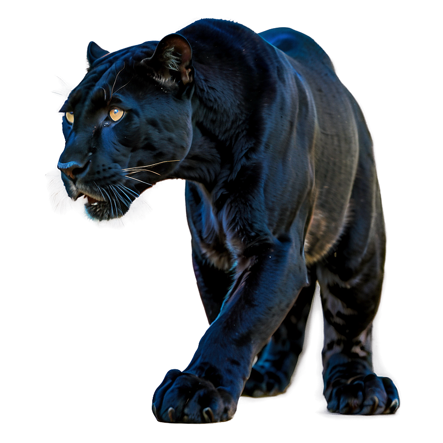 Panther In The Wild Png Hdr PNG Image