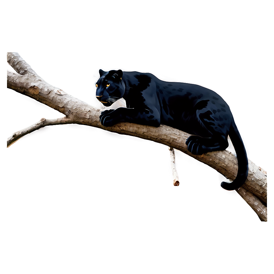 Panther On Branch Png Flw50 PNG Image