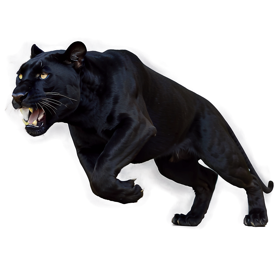 Panther Running Png Rmg PNG Image