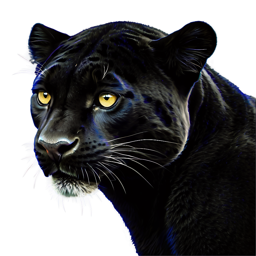 Panthers Spirit Animal Png 06202024 PNG Image