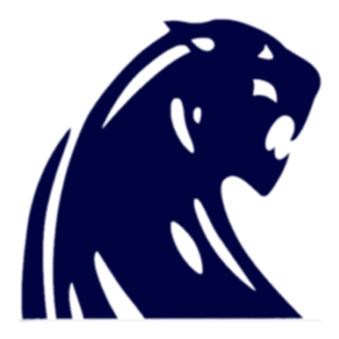 Panthers Team Logo PNG Image