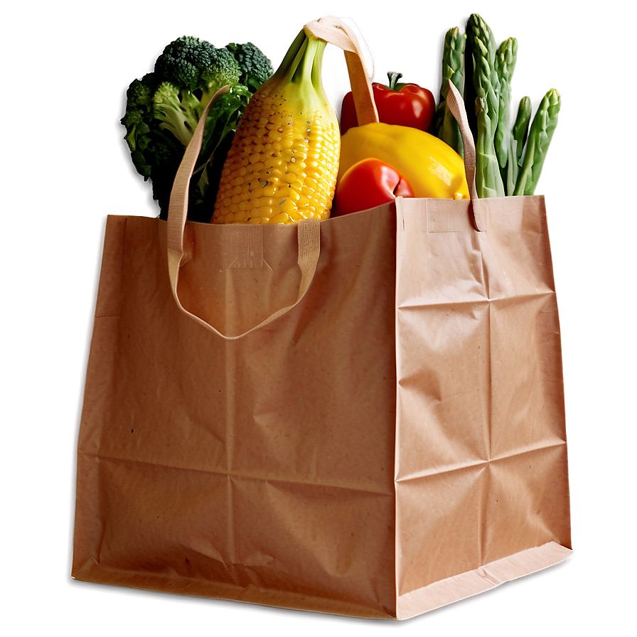 Paper Grocery Bag Png 98 PNG Image