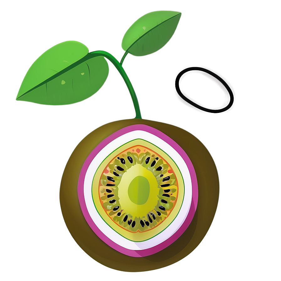 Passion Fruit A PNG Image