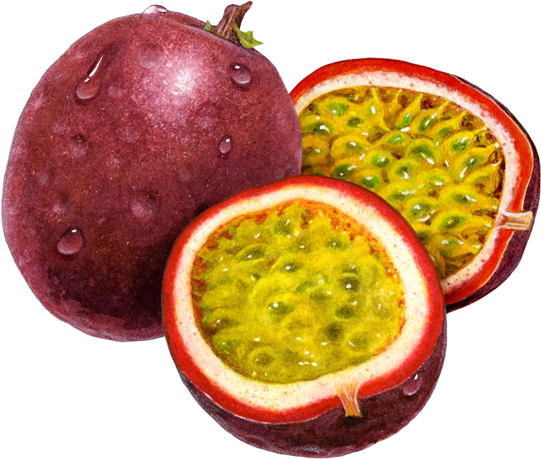 Passion Fruit Freshand Sliced.png PNG Image