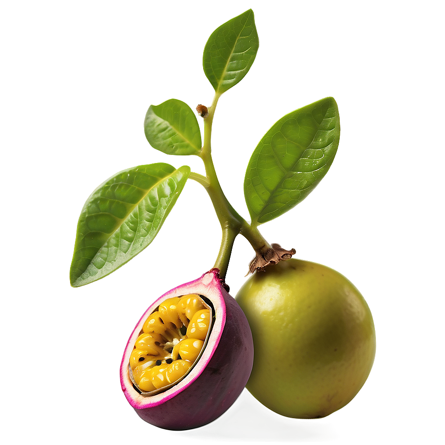 Passion Fruit Seedling Plant Png Pmw PNG Image