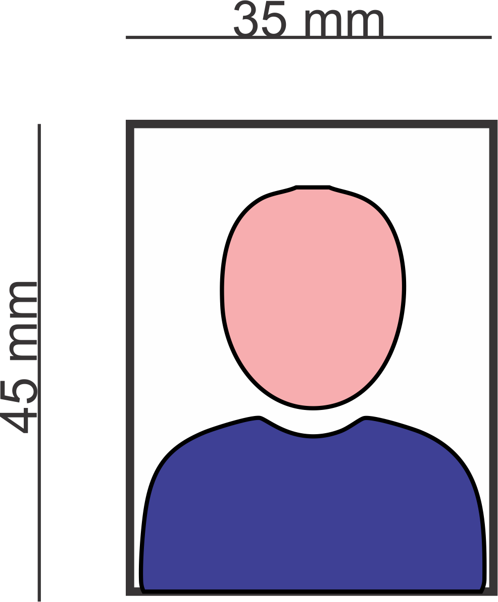 Passport Photo Dimensions Illustration PNG Image